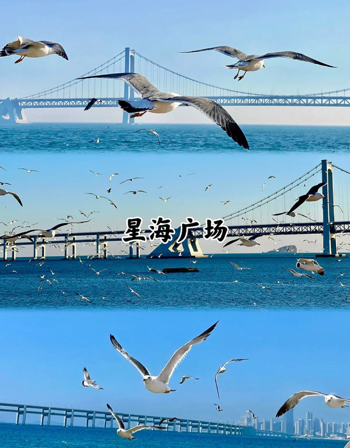 大连棒棰岛旅游攻略_大连攻略旅游棒棰岛路线_大连攻略旅游棒棰岛景区