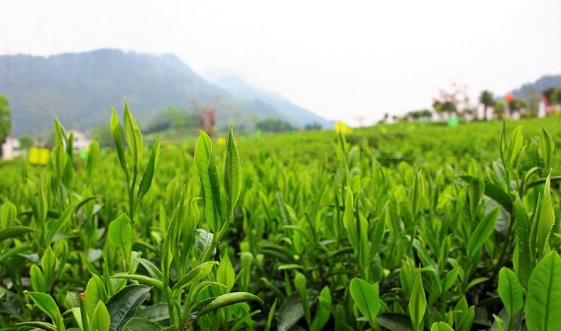 梅山龙宫旅游攻略_梅山龙宫旅游时间_梅山龙宫好玩吗