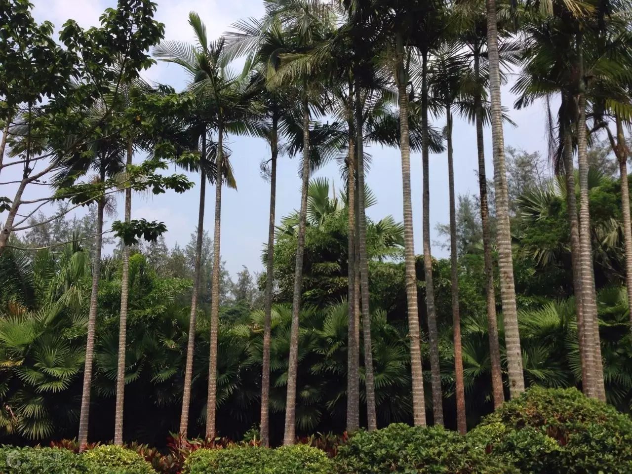 琼海博鳌一日游_琼海市博鳌镇旅游攻略_琼海博鳌小镇旅游攻略