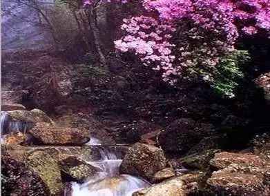 琼海博鳌一日游_琼海博鳌小镇旅游攻略_琼海市博鳌镇旅游攻略