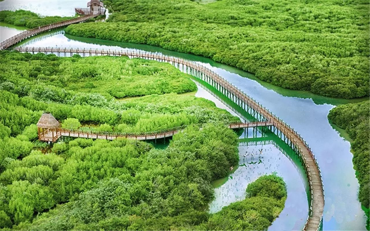 琼海博鳌小镇旅游攻略_琼海市博鳌镇旅游攻略_琼海博鳌一日游
