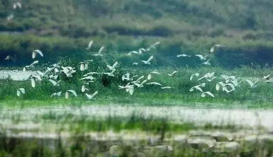 琼海市博鳌镇旅游攻略_琼海博鳌小镇旅游攻略_琼海博鳌一日游