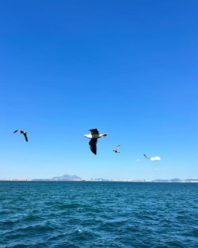 大连棒棰岛旅游攻略-大连市棒棰岛旅游攻略(图2) 大连攻略旅游棒棰岛景区_大连棒棰岛旅游攻略_大连市棒棰岛旅游攻略