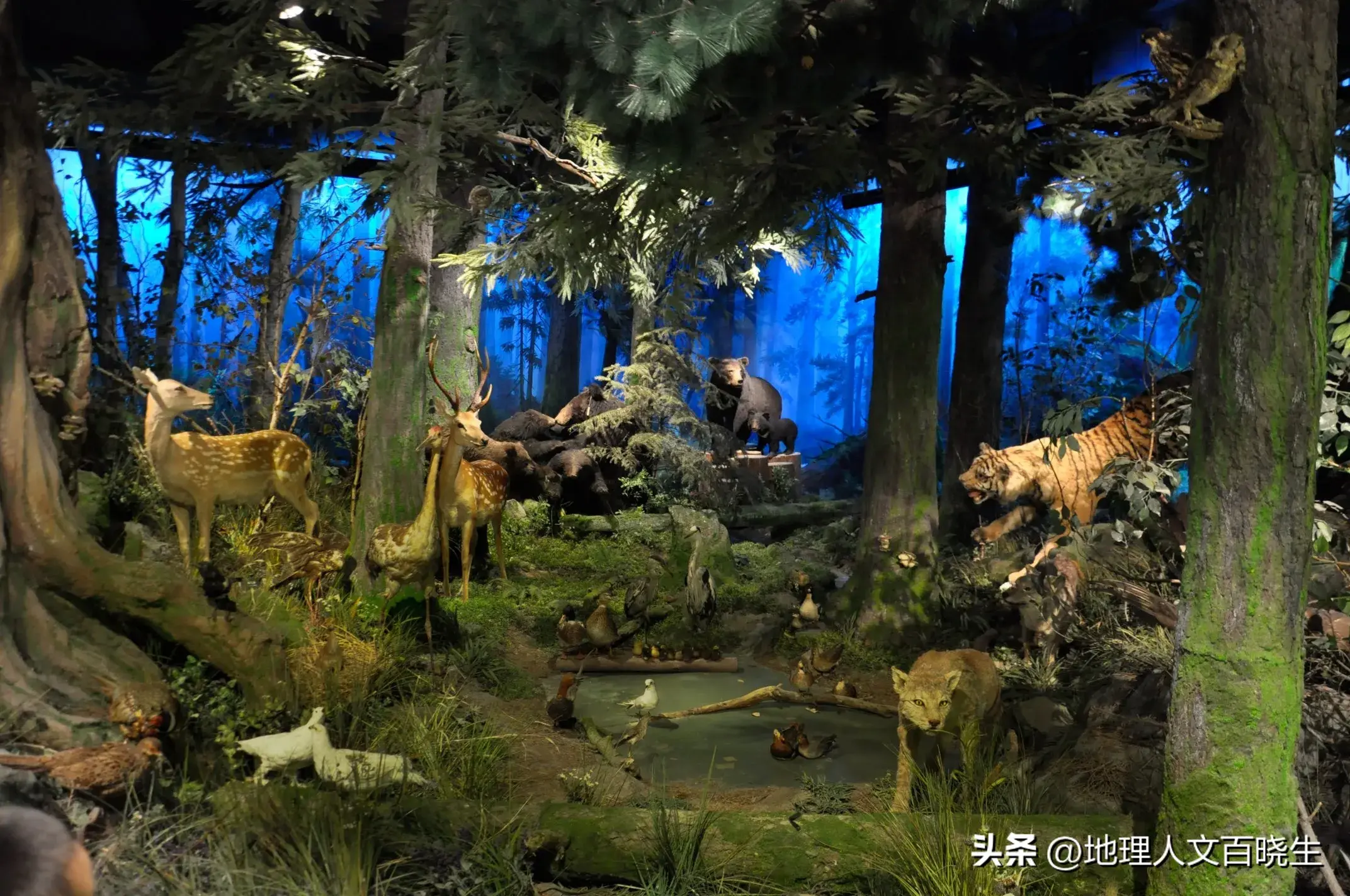 夏天哈尔滨景点攻略_夏天哈尔滨旅游攻略_哈尔滨夏天旅游攻略必去景点