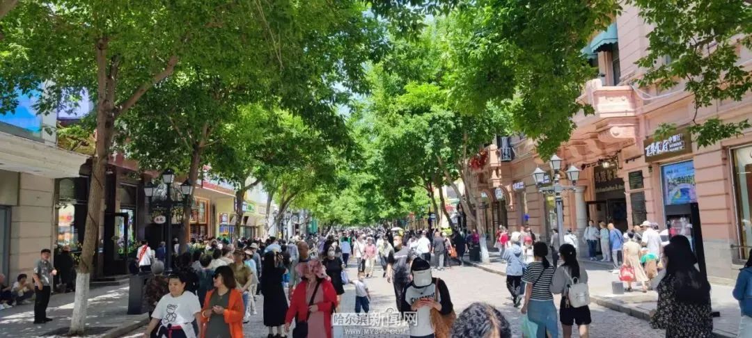 哈尔滨夏天旅游攻略必去景点_夏天哈尔滨景点攻略_夏天哈尔滨旅游攻略