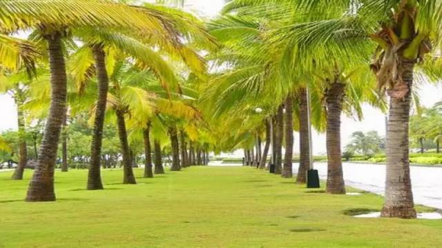 小镇攻略博鳌旅游琼海怎么去_海南琼海博鳌小镇_琼海博鳌小镇旅游攻略