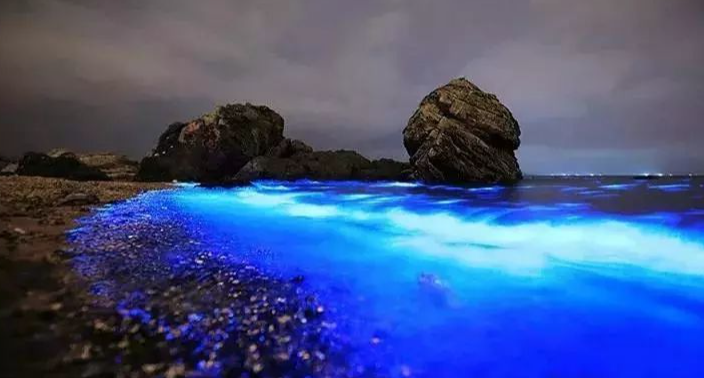 东极镇的青浜岛旅游攻略_东极岛青浜岛晚上闹鬼_东极岛青浜岛好玩吗