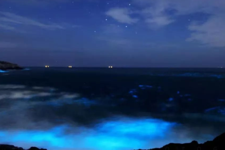 东极镇的青浜岛旅游攻略_东极岛青浜岛好玩吗_东极岛青浜岛晚上闹鬼