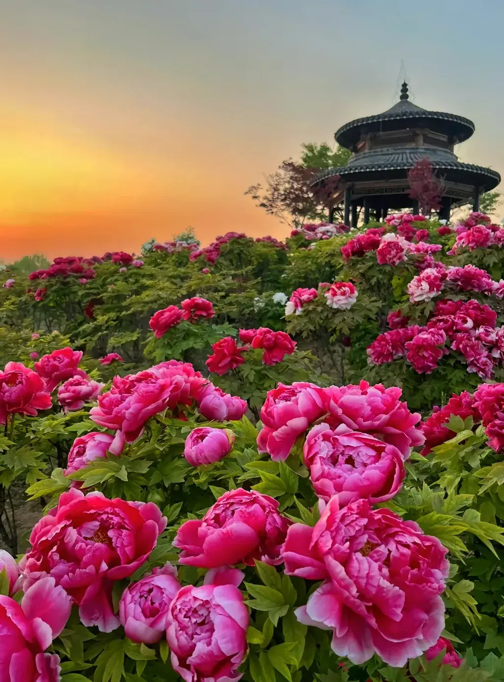 洛阳攻略旅游市内景点推荐_洛阳市内旅游攻略_洛阳市内游玩攻略