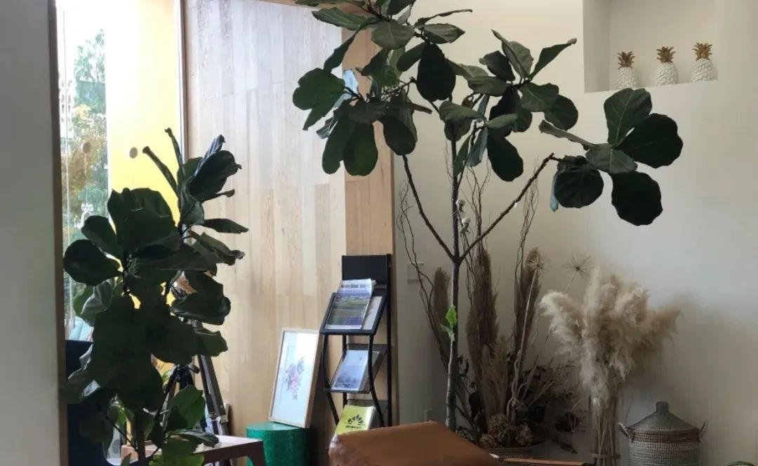 海宁旅游攻略_海宁旅游景点攻略_海宁攻略旅游景点大全