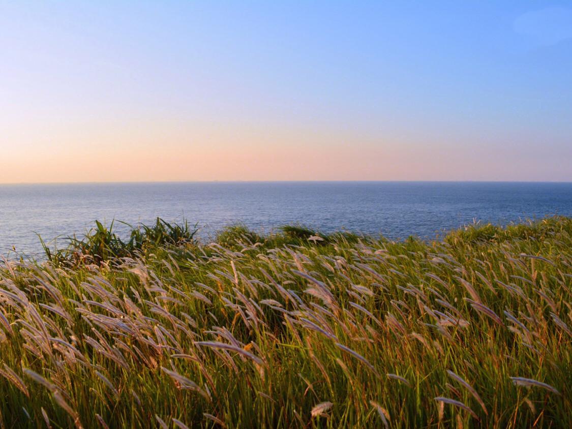 东极岛青浜岛晚上闹鬼_东极岛青浜岛好玩吗_东极镇的青浜岛旅游攻略
