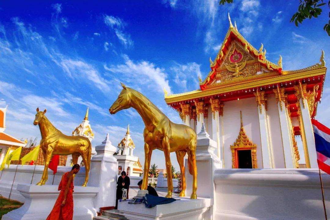 洛阳旅游去哪玩_洛阳市内游玩攻略_洛阳市内旅游攻略