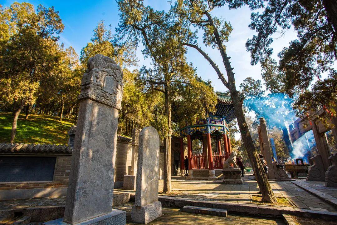 洛阳旅游去哪玩_洛阳市内旅游攻略_洛阳市内游玩攻略