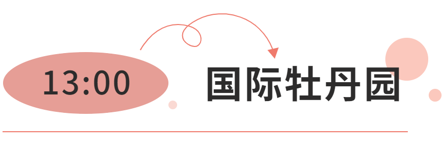 洛阳旅游去哪玩_洛阳市内游玩攻略_洛阳市内旅游攻略