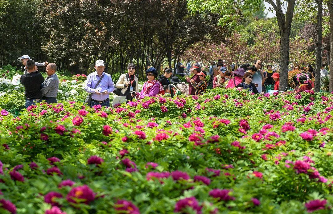 洛阳市内旅游攻略_洛阳旅游去哪玩_洛阳市内游玩攻略