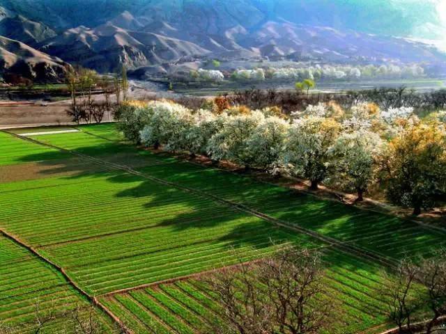 西安去沙坡头游玩攻略_西安到沙坡头旅游攻略_西安去沙坡头两日游