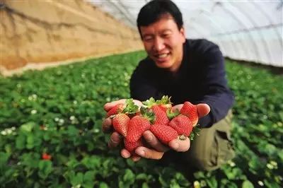 西安去沙坡头两日游_西安去沙坡头游玩攻略_西安到沙坡头旅游攻略