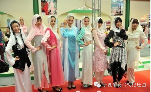 西安去沙坡头两日游_西安去沙坡头游玩攻略_西安到沙坡头旅游攻略