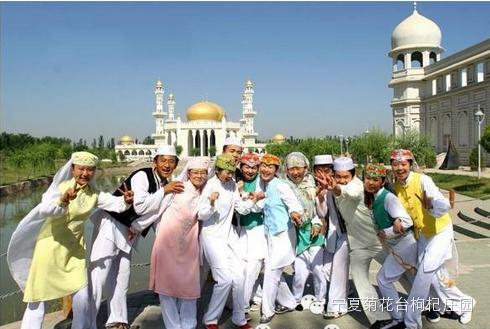 西安去沙坡头游玩攻略_西安到沙坡头旅游攻略_西安去沙坡头两日游