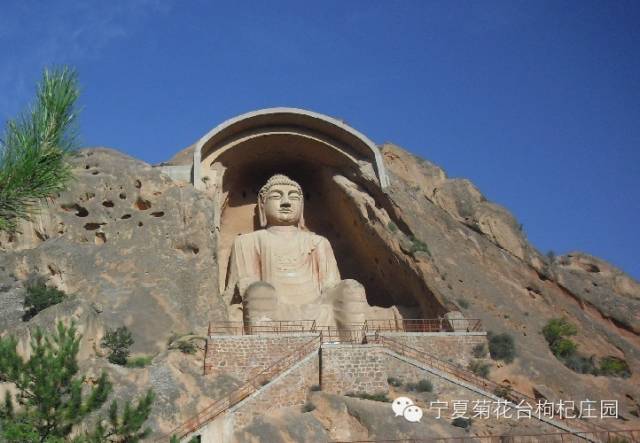 西安到沙坡头旅游攻略_西安去沙坡头两日游_西安去沙坡头游玩攻略