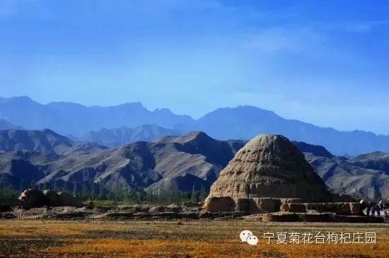 西安去沙坡头游玩攻略_西安去沙坡头两日游_西安到沙坡头旅游攻略