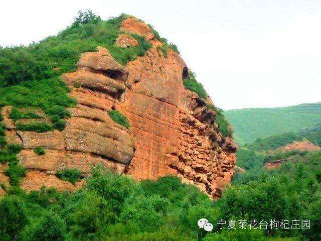 西安去沙坡头游玩攻略_西安到沙坡头旅游攻略_西安去沙坡头两日游