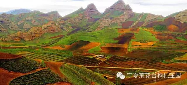 西安到沙坡头旅游攻略_西安去沙坡头两日游_西安去沙坡头游玩攻略