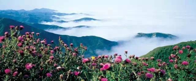 西安到沙坡头旅游攻略_西安去沙坡头游玩攻略_西安去沙坡头两日游