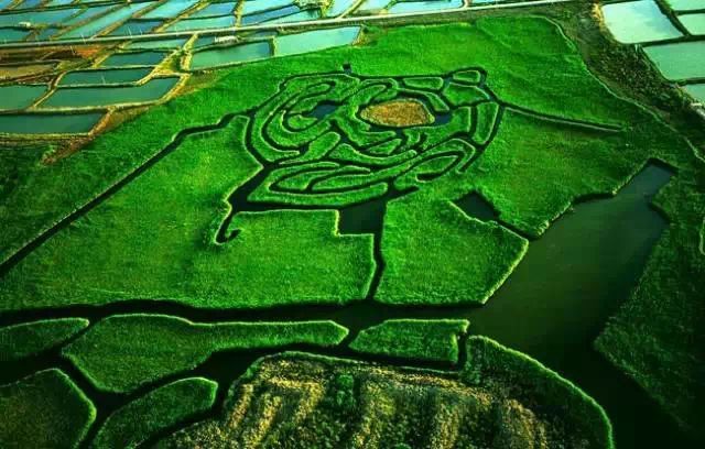 西安去沙坡头游玩攻略_西安到沙坡头旅游攻略_西安去沙坡头两日游