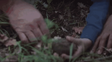 纽约旅游_美国纽约旅游攻略线路_纽约旅游攻略 穷游