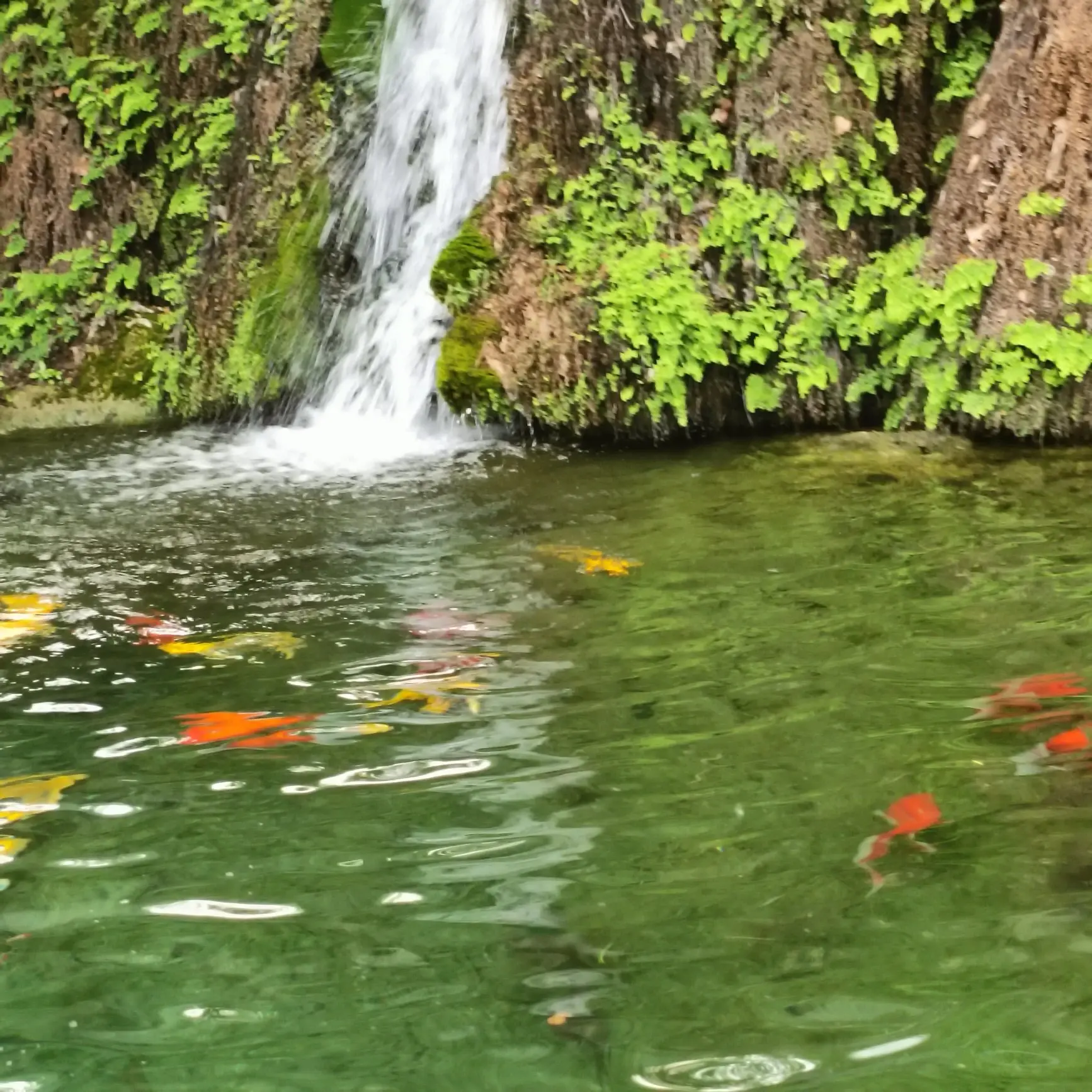 洛阳市内旅游攻略_洛阳市区游玩_洛阳旅游去哪玩