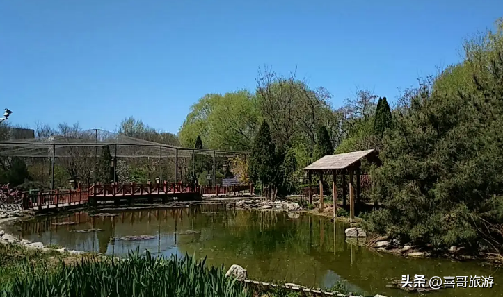 山西省太原市旅游攻略_太原市旅游景点攻略_太原市旅游攻略