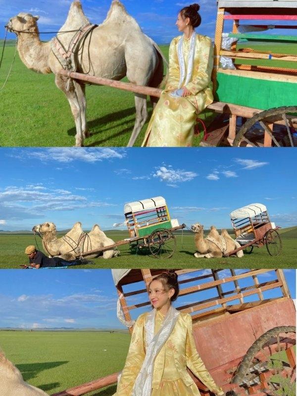 阿拉善盟旅游攻略-阿拉善盟旅游景点攻略(图5) 阿拉善盟旅游攻略_阿拉善盟旅游景点攻略_阿拉善盟游玩攻略