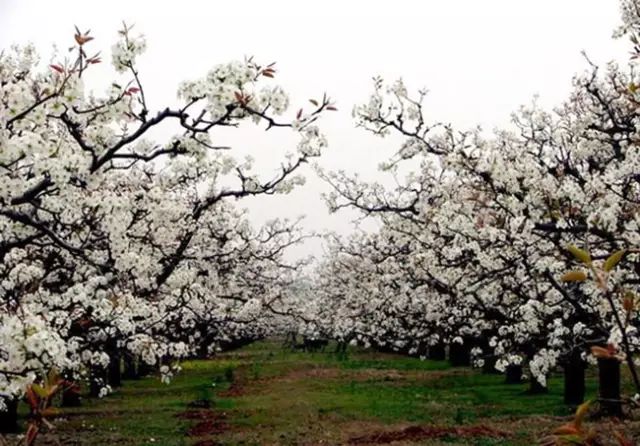 乐清芙蓉镇旅游攻略-乐清芙蓉镇有什么好玩的景点