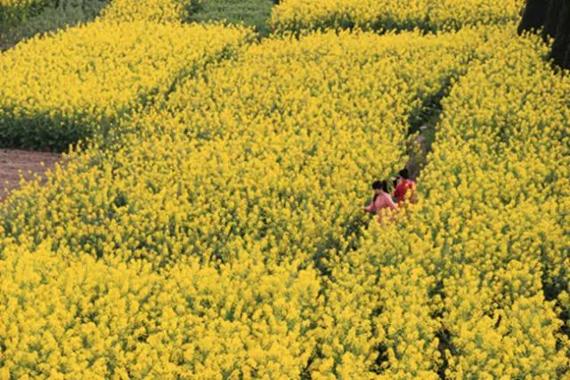 乐清芙蓉镇旅游攻略-乐清芙蓉镇有什么好玩的景点(图16) 乐清芙蓉镇有什么好玩的景点_乐清芙蓉镇旅游攻略_乐清芙蓉镇游玩攻略