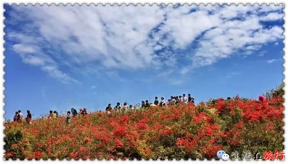 乐清芙蓉镇旅游攻略-乐清芙蓉镇有什么好玩的景点(图20) 乐清芙蓉镇旅游攻略_乐清芙蓉镇游玩攻略_乐清芙蓉镇有什么好玩的景点