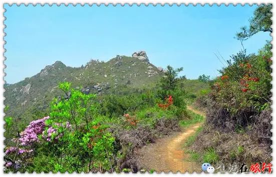 乐清芙蓉镇旅游攻略-乐清芙蓉镇有什么好玩的景点(图21) 乐清芙蓉镇有什么好玩的景点_乐清芙蓉镇旅游攻略_乐清芙蓉镇游玩攻略