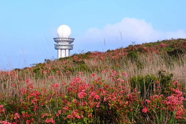 乐清芙蓉镇旅游攻略-乐清芙蓉镇有什么好玩的景点(图23) 乐清芙蓉镇旅游攻略_乐清芙蓉镇有什么好玩的景点_乐清芙蓉镇游玩攻略