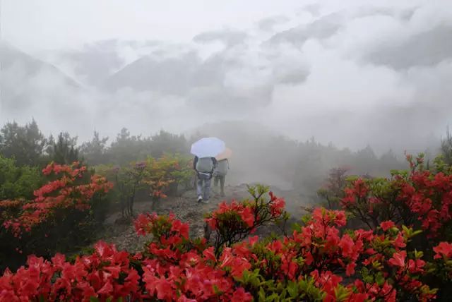 乐清芙蓉镇旅游攻略-乐清芙蓉镇有什么好玩的景点(图24) 乐清芙蓉镇游玩攻略_乐清芙蓉镇有什么好玩的景点_乐清芙蓉镇旅游攻略