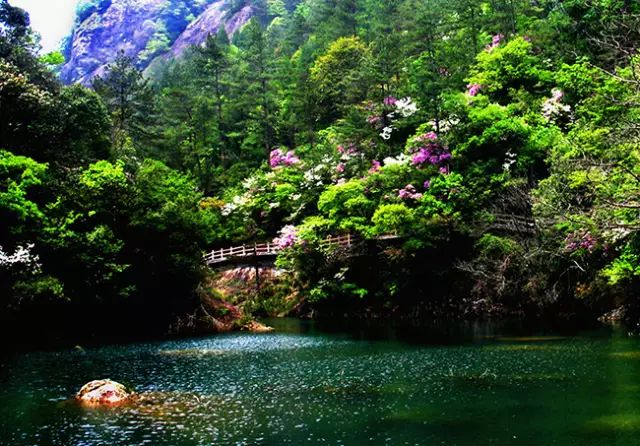 乐清芙蓉镇旅游攻略-乐清芙蓉镇有什么好玩的景点(图25) 乐清芙蓉镇有什么好玩的景点_乐清芙蓉镇游玩攻略_乐清芙蓉镇旅游攻略