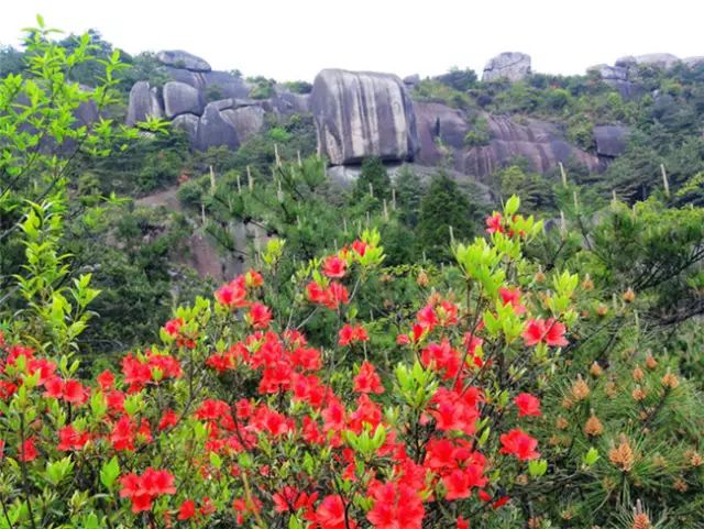 乐清芙蓉镇旅游攻略-乐清芙蓉镇有什么好玩的景点(图28) 乐清芙蓉镇游玩攻略_乐清芙蓉镇旅游攻略_乐清芙蓉镇有什么好玩的景点
