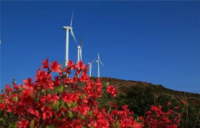 乐清芙蓉镇旅游攻略-乐清芙蓉镇有什么好玩的景点(图29) 乐清芙蓉镇游玩攻略_乐清芙蓉镇旅游攻略_乐清芙蓉镇有什么好玩的景点