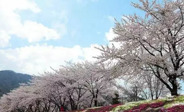 乐清芙蓉镇旅游攻略-乐清芙蓉镇有什么好玩的景点(图5) 乐清芙蓉镇游玩攻略_乐清芙蓉镇有什么好玩的景点_乐清芙蓉镇旅游攻略