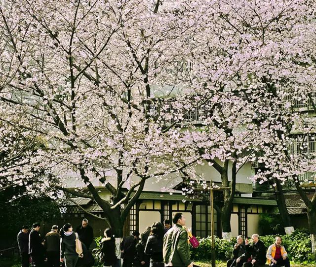 乐清芙蓉镇旅游攻略-乐清芙蓉镇有什么好玩的景点(图7) 乐清芙蓉镇有什么好玩的景点_乐清芙蓉镇旅游攻略_乐清芙蓉镇游玩攻略