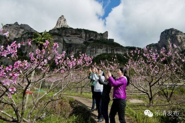 乐清芙蓉镇旅游攻略-乐清芙蓉镇有什么好玩的景点(图8) 乐清芙蓉镇游玩攻略_乐清芙蓉镇有什么好玩的景点_乐清芙蓉镇旅游攻略