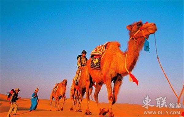 阿拉善盟旅游景点攻略_阿拉善盟盟_阿拉善盟旅游攻略