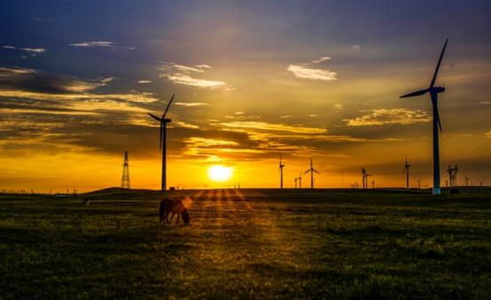 阿拉善盟旅游攻略-阿拉善盟有什么好玩的地方(图2) 阿拉善盟怎么玩_阿拉善盟有什么好玩的地方_阿拉善盟旅游攻略