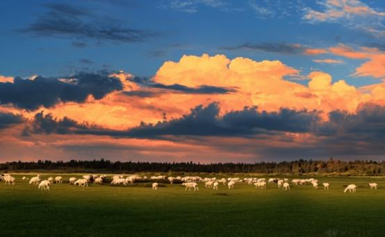 阿拉善盟旅游攻略-阿拉善盟有什么好玩的地方(图10) 阿拉善盟旅游攻略_阿拉善盟怎么玩_阿拉善盟有什么好玩的地方