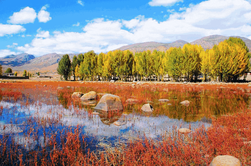 青城山都江堰旅游攻略-都江堰青城山旅游官网(图3) 都江堰青城山旅游攻略一日游_青城山都江堰旅游攻略_都江堰青城山旅游官网