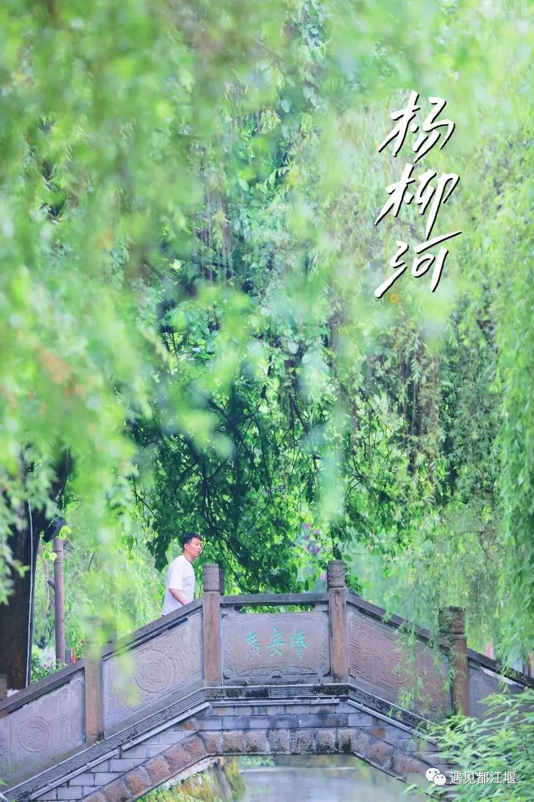 青城山都江堰旅游攻略-都江堰青城山旅游官网(图21) 都江堰青城山旅游攻略一日游_都江堰青城山旅游官网_青城山都江堰旅游攻略